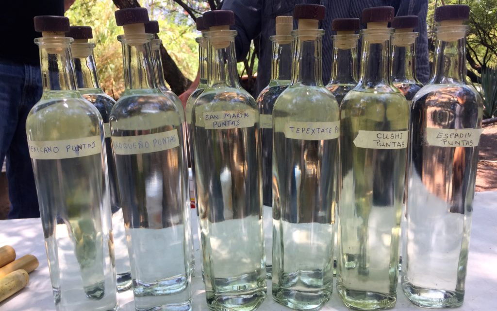 Bottles of mezcal at the Pacheco family palenque in Ejutla, Oaxaca, Mexico