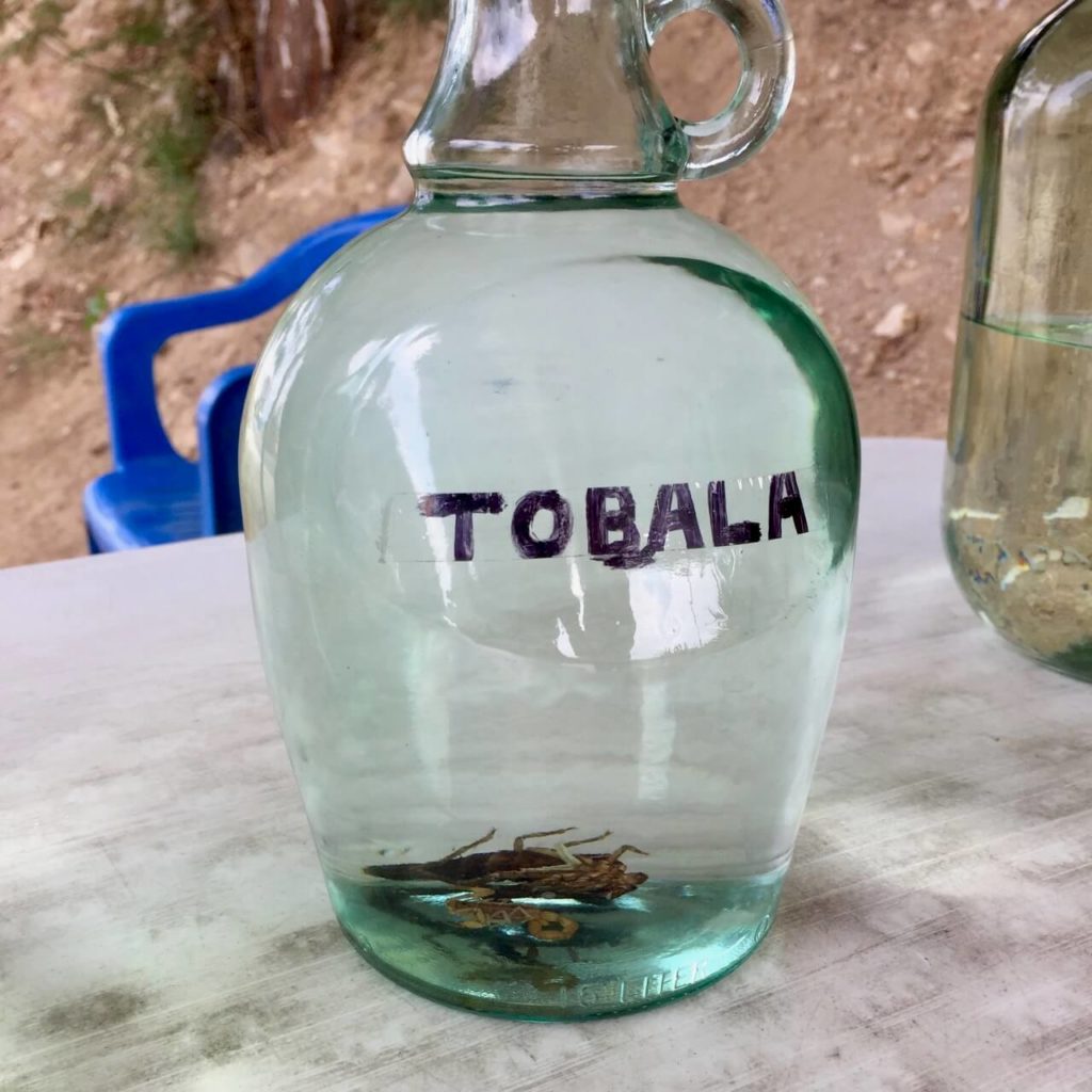 Bottle of agave tobala mezcal with a scorpion