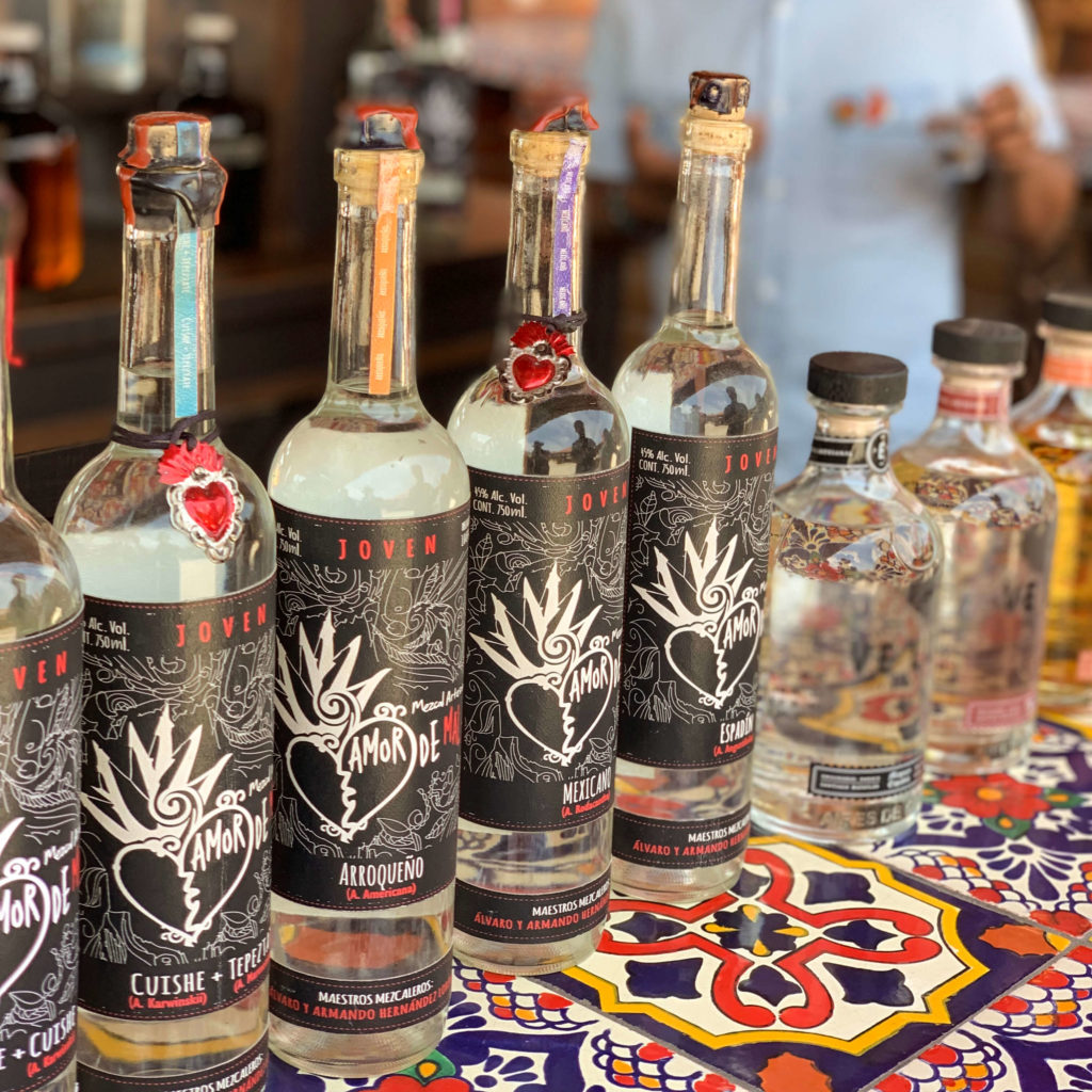 A Tour with Oaxacking: Mezcal Ilegal, Convite, Pulque, and More ...
