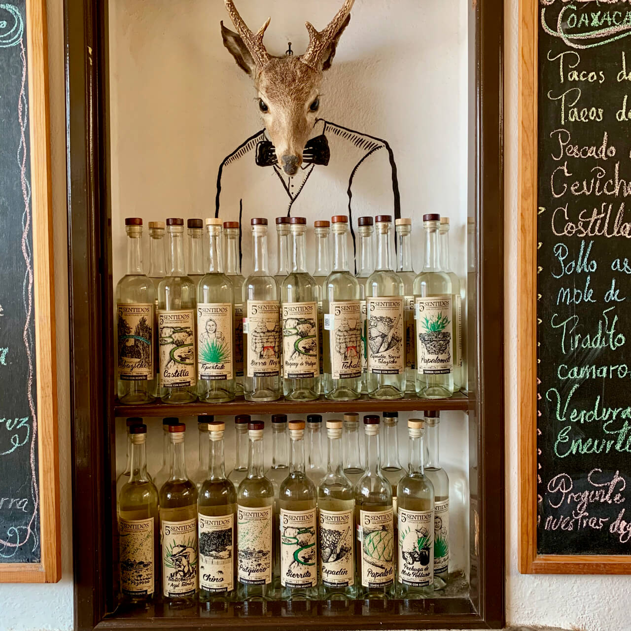 Bottles of agave spirits at El Destilado