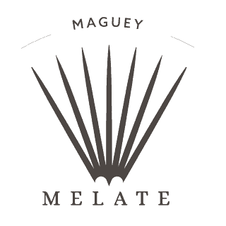 Maguey Melate Agave Mezcal Destilado