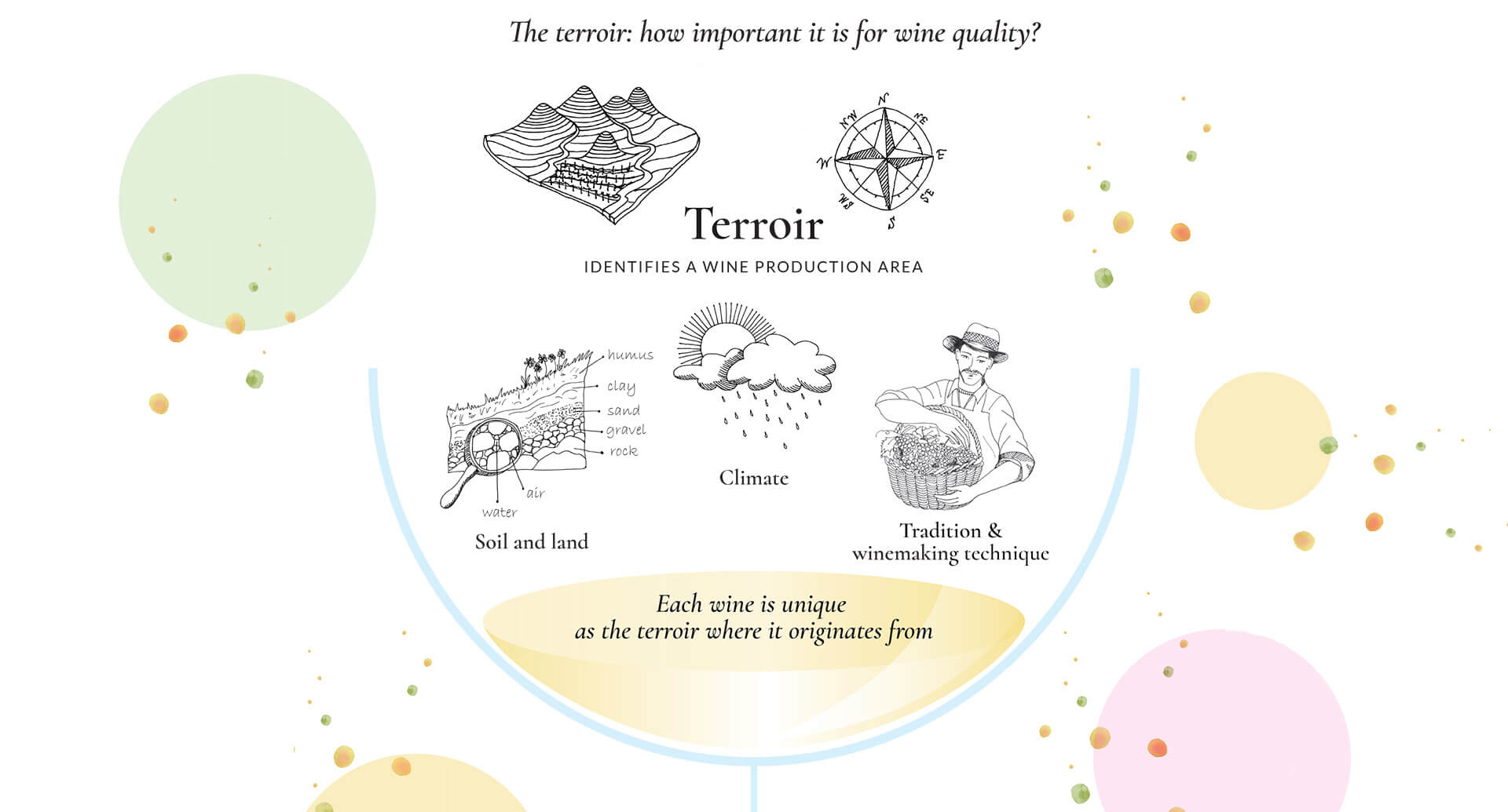 An infographic illustrating the factors of terroir in wine: soil and land, climate, tradition & winemaking technique.