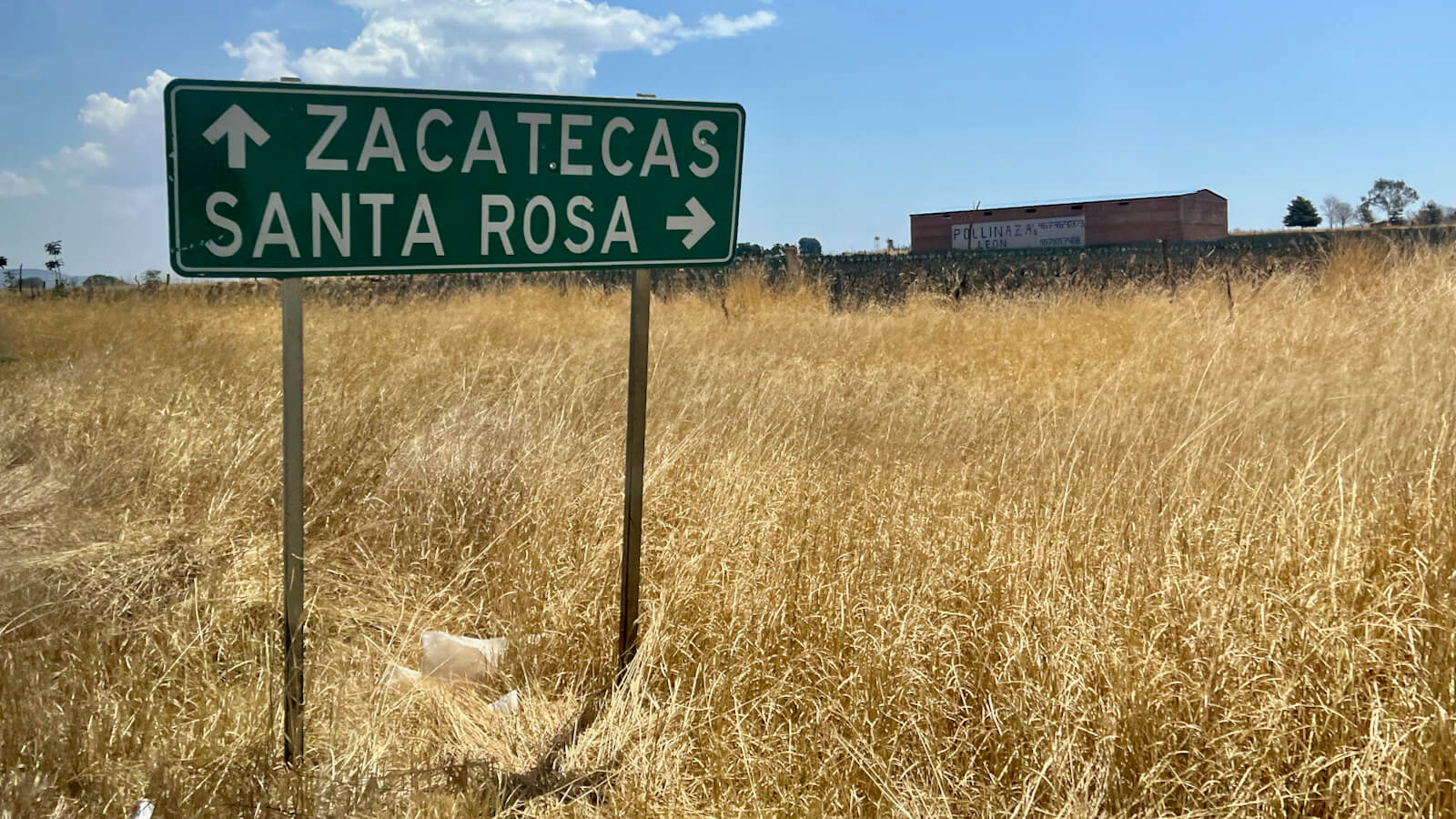 Road sign which points to Zacatecas straight ahead and Santa Rosa to the right