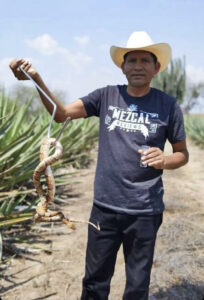 Miguel Tshirt Snake Mezcal in Hand
