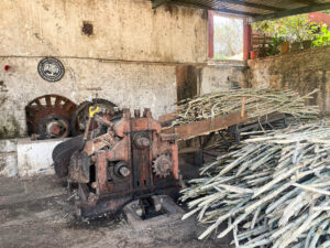 Uruapan Scottish Mill Charanda Sugar Cane