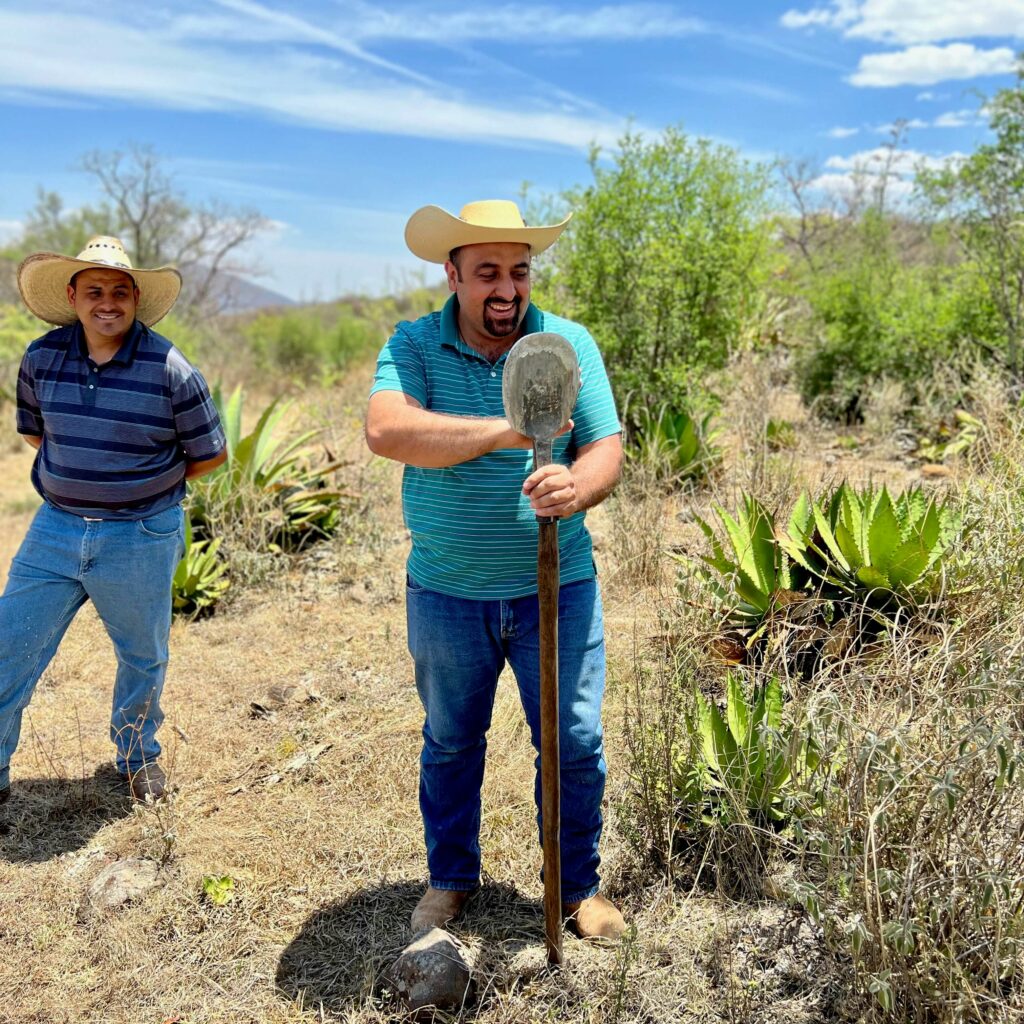 Meli and Migue of Palomas Mensajeras standing in an agave field