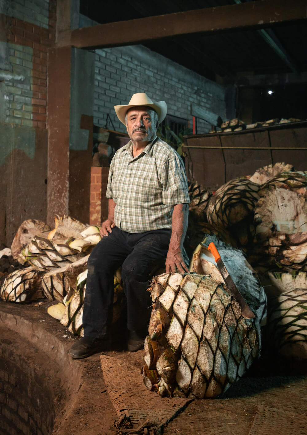 Don Miguel of Palomas Mensajeras sits on a pile of harvested agaves