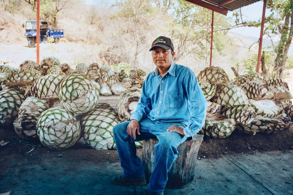 Mezcalero Guillermo Fabian sitting down with a pile of cut agave piñas behind him